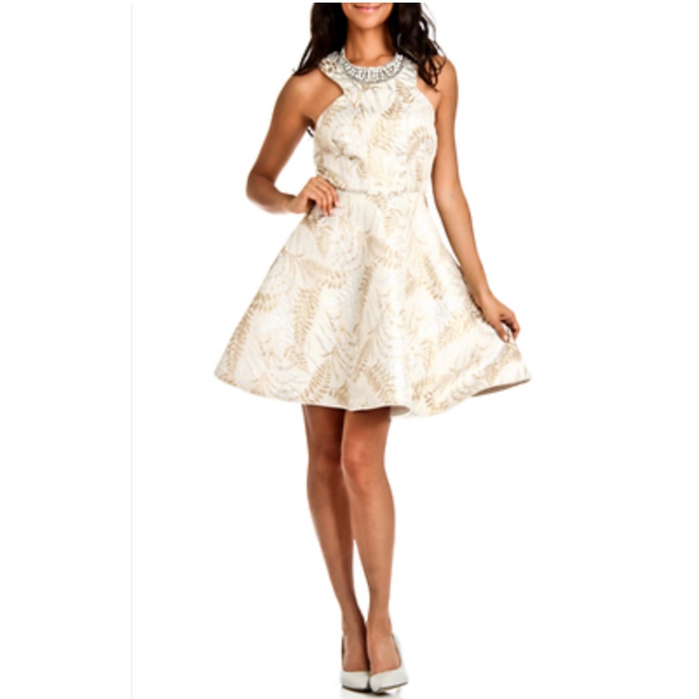 NEW Issue New York Shiny Fit and Flare Dress in‎ Tapestry Beige [SZ Large ]